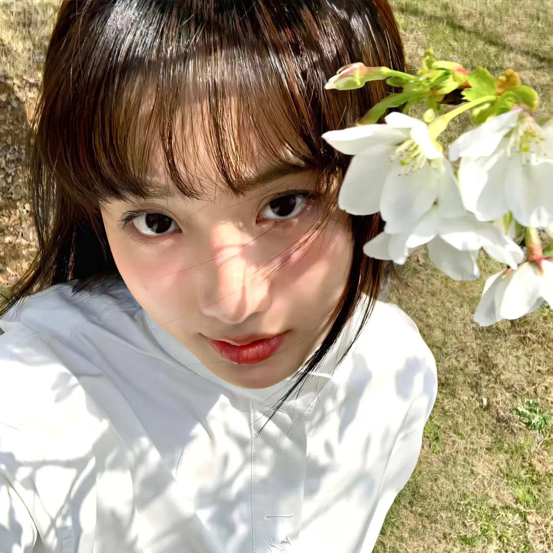 中华厨王之厨王之王